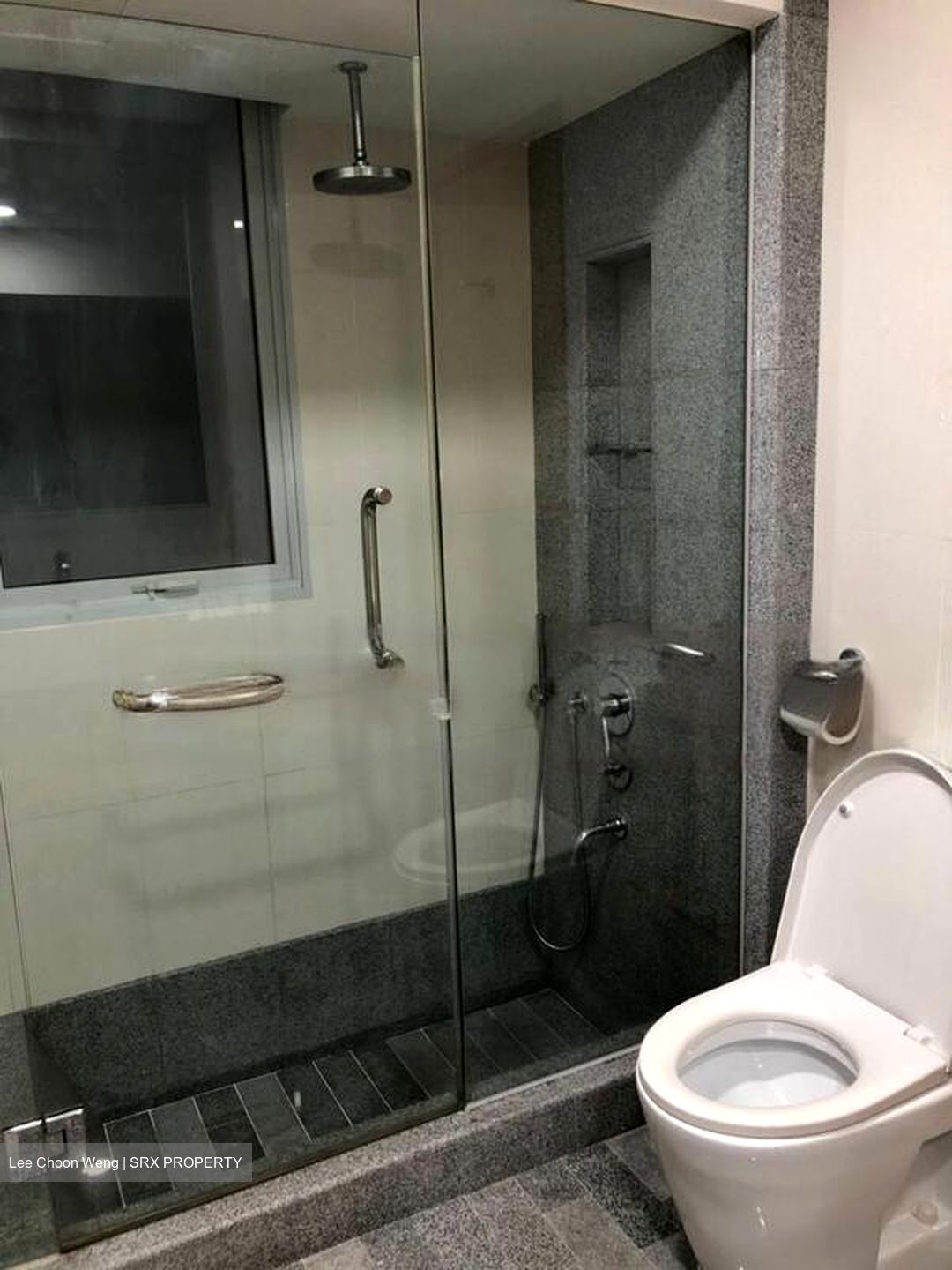 8 @ Mount Sophia (D9), Condominium #565492191